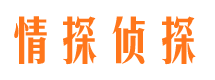 雷山市私家侦探